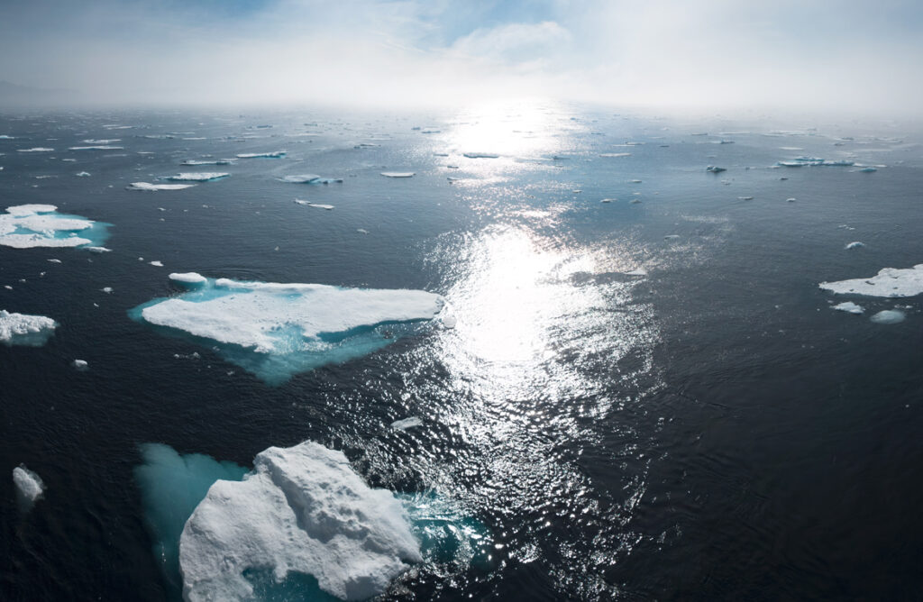 Cop25 e riscaldamento globale: le conseguenze su salute e ambiente - Apoteca Natura