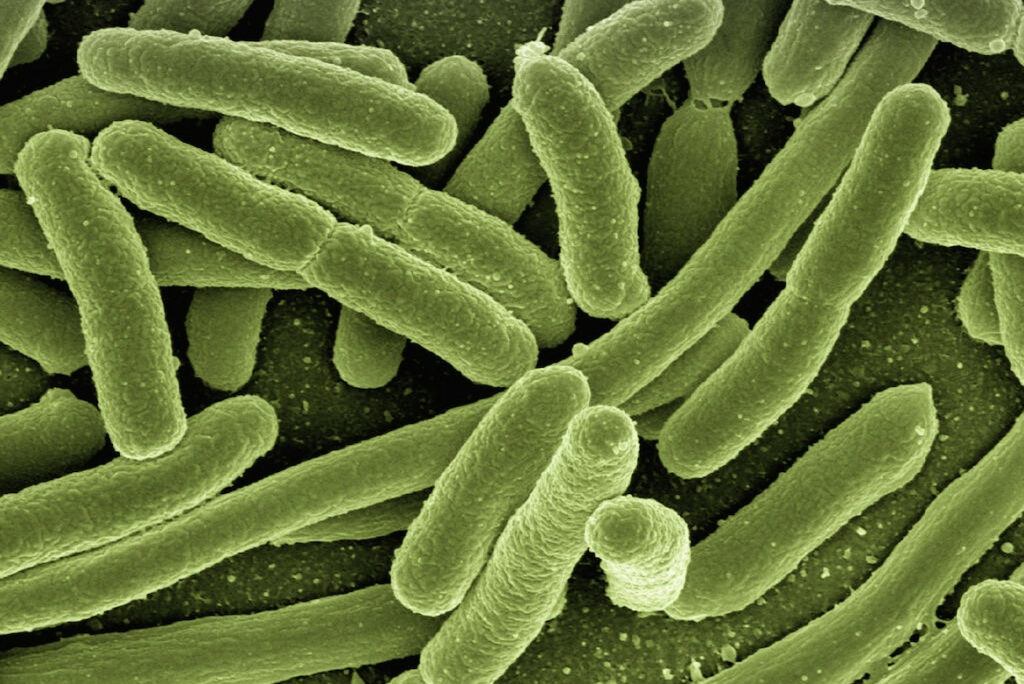 Antibiotico-Resistenza: tutto quello che devi sapere - Apoteca Natura