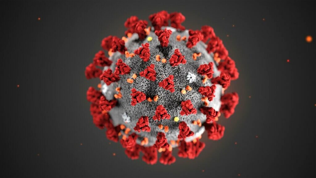 Coronavirus: cosa è bene sapere per evitare allarmismi - Apoteca Natura