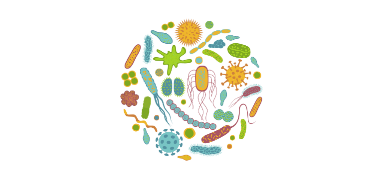 Microbiota faringeo - Apoteca Natura
