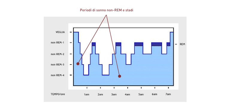 Sonno non-REM - Apoteca Natura