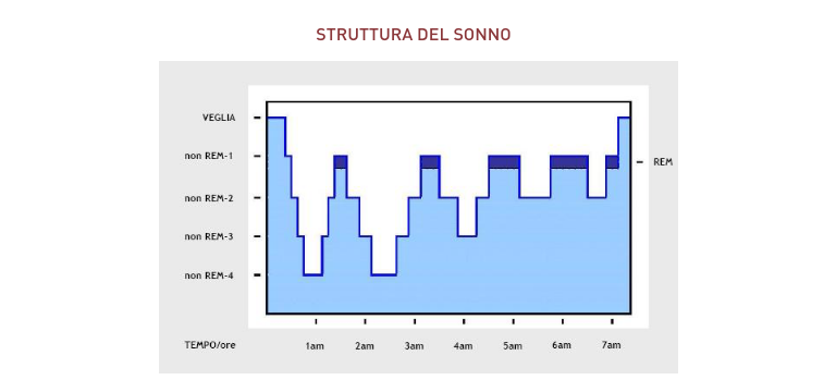 Struttura del sonno - Apoteca Natura