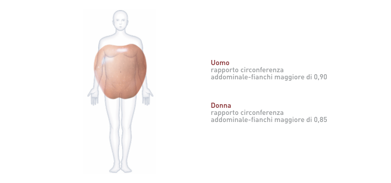 Obesità androide - Apoteca Natura