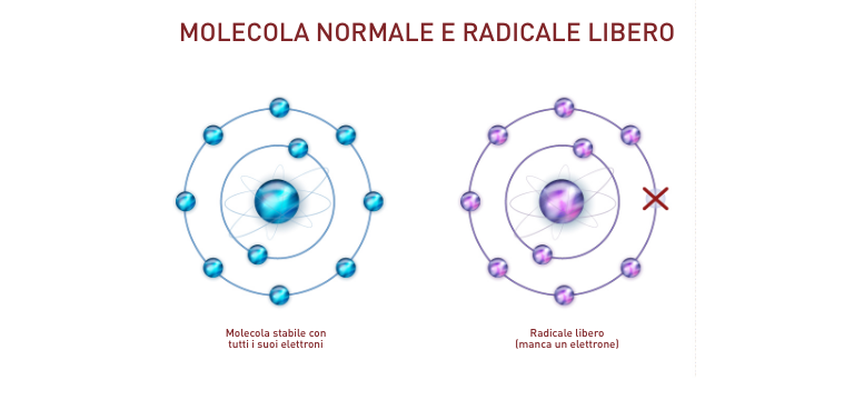 Cosa sono i radicali liberi? - Apoteca Natura