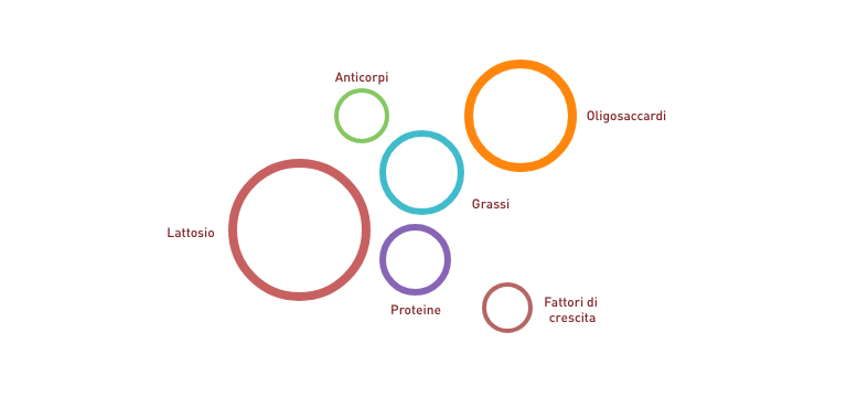 Composizione del latte materno - Apoteca Natura