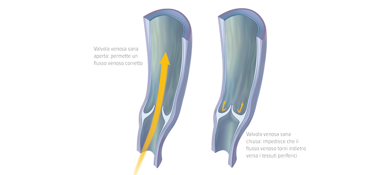 Valvole venose - Apoteca Natura