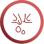 Emorroidi