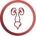 Prostatite