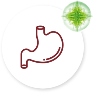 IBS - Sindrome dell’intestino irritabile - Apoteca Natura
