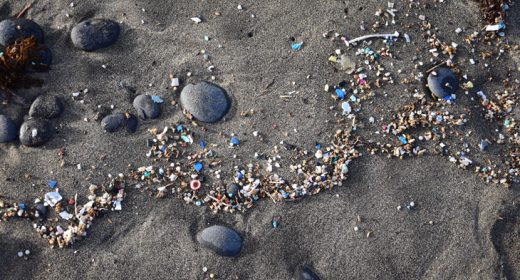 Small plastic parts and microplastics in the sand of Famara beach, Lanzarote, Spain.