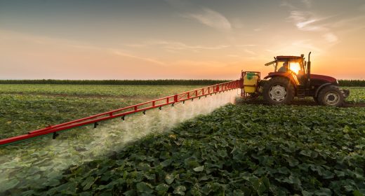 Tractor spraying pesticides on vegetable field with sprayer at spring