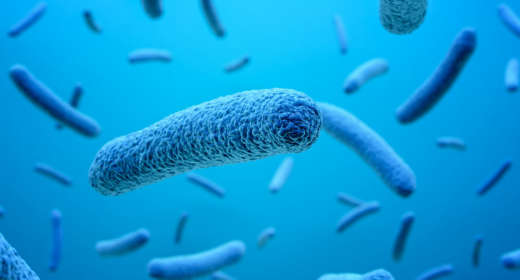 microb